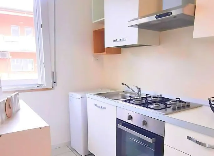 Magnolia Bianca Montesilvano Marina