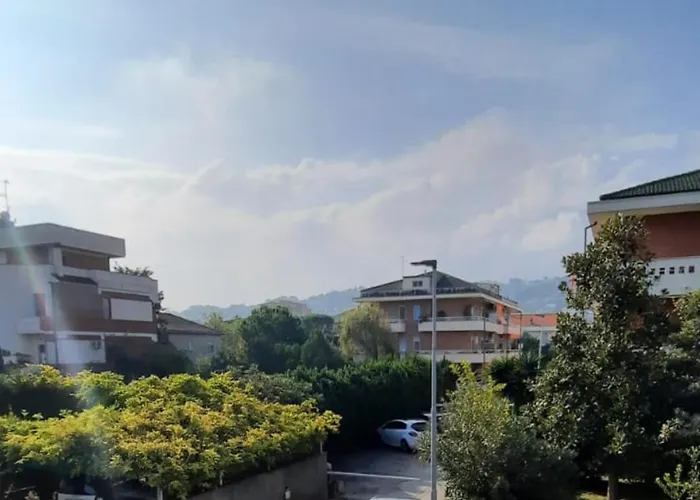 Magnolia Bianca Montesilvano Marina