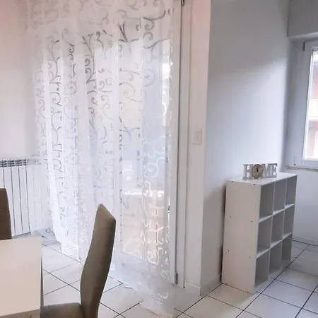 Magnolia Bianca Montesilvano Marina