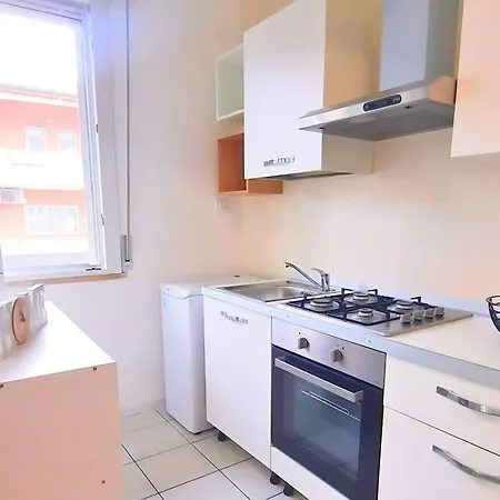 Magnolia Bianca Montesilvano Marina