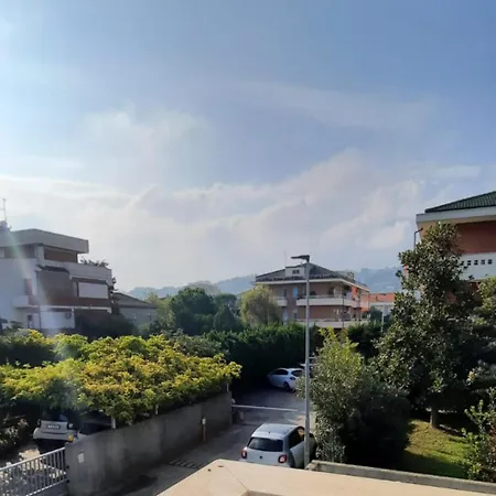 Magnolia Bianca Montesilvano